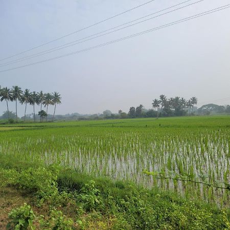 Tanjore Home Stay Tandzsávúr Kültér fotó
